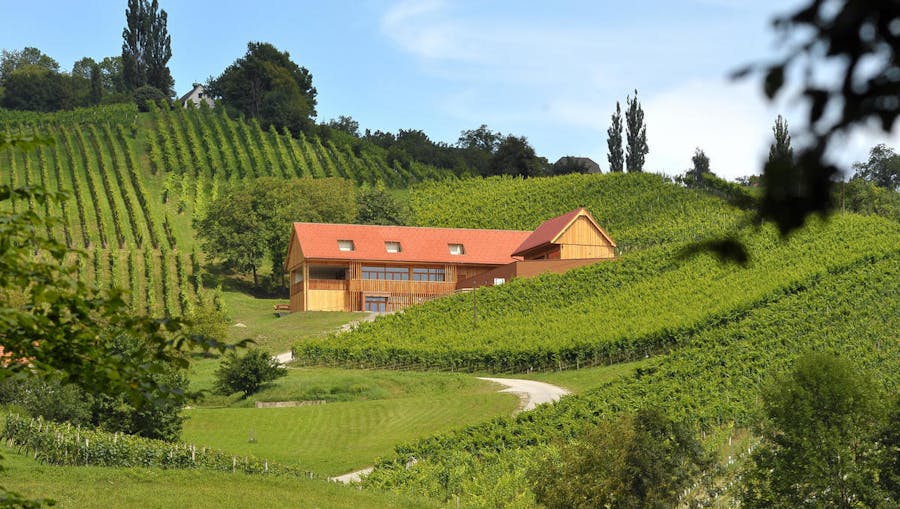 Vino Valdhuber